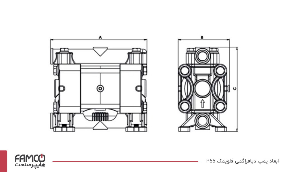 پمپ دیافراگمی فلویمک P55
